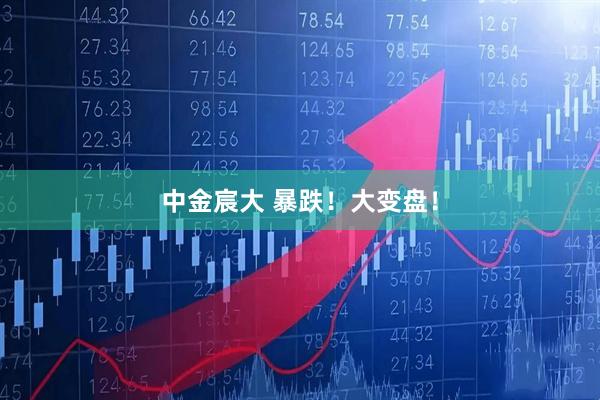 中金宸大 暴跌！大变盘！