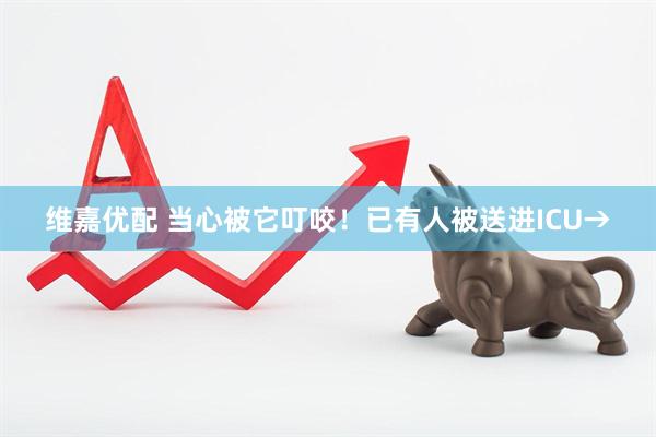 维嘉优配 当心被它叮咬！已有人被送进ICU→