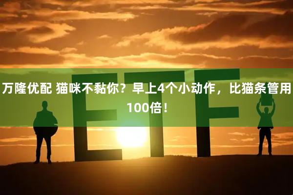 万隆优配 猫咪不黏你？早上4个小动作，比猫条管用100倍！