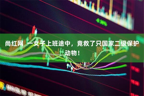 尚红网  一女子上班途中，竟救了只国家二级保护动物！