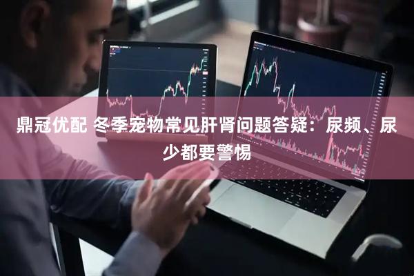 鼎冠优配 冬季宠物常见肝肾问题答疑：尿频、尿少都要警惕