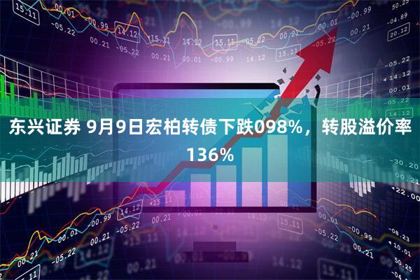 东兴证券 9月9日宏柏转债下跌098%，转股溢价率136%
